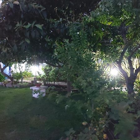 Vila Casa Do Sobral Óbidos Zewnętrze zdjęcie