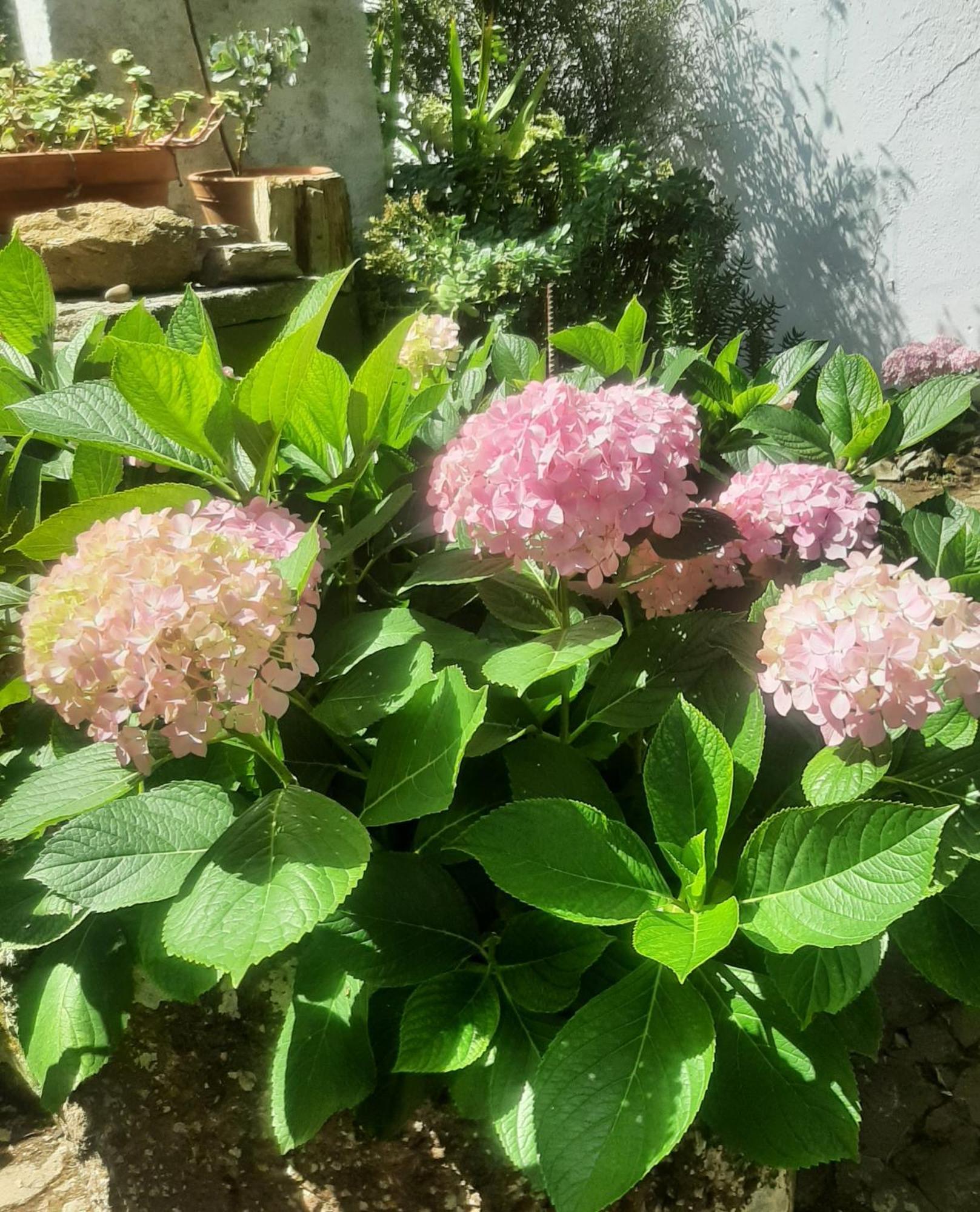 Vila Casa Do Sobral Óbidos Zewnętrze zdjęcie