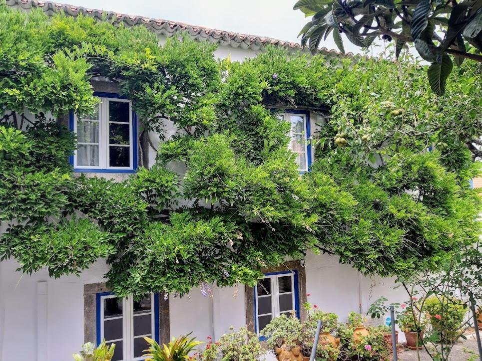 Vila Casa Do Sobral Óbidos Zewnętrze zdjęcie
