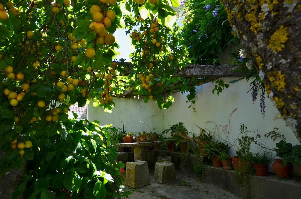 Vila Casa Do Sobral Óbidos Pokój zdjęcie