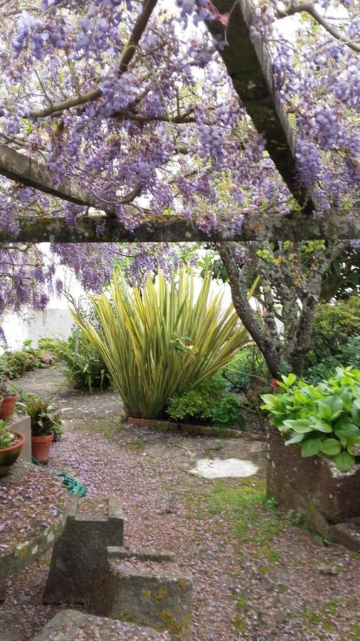 Vila Casa Do Sobral Óbidos Zewnętrze zdjęcie