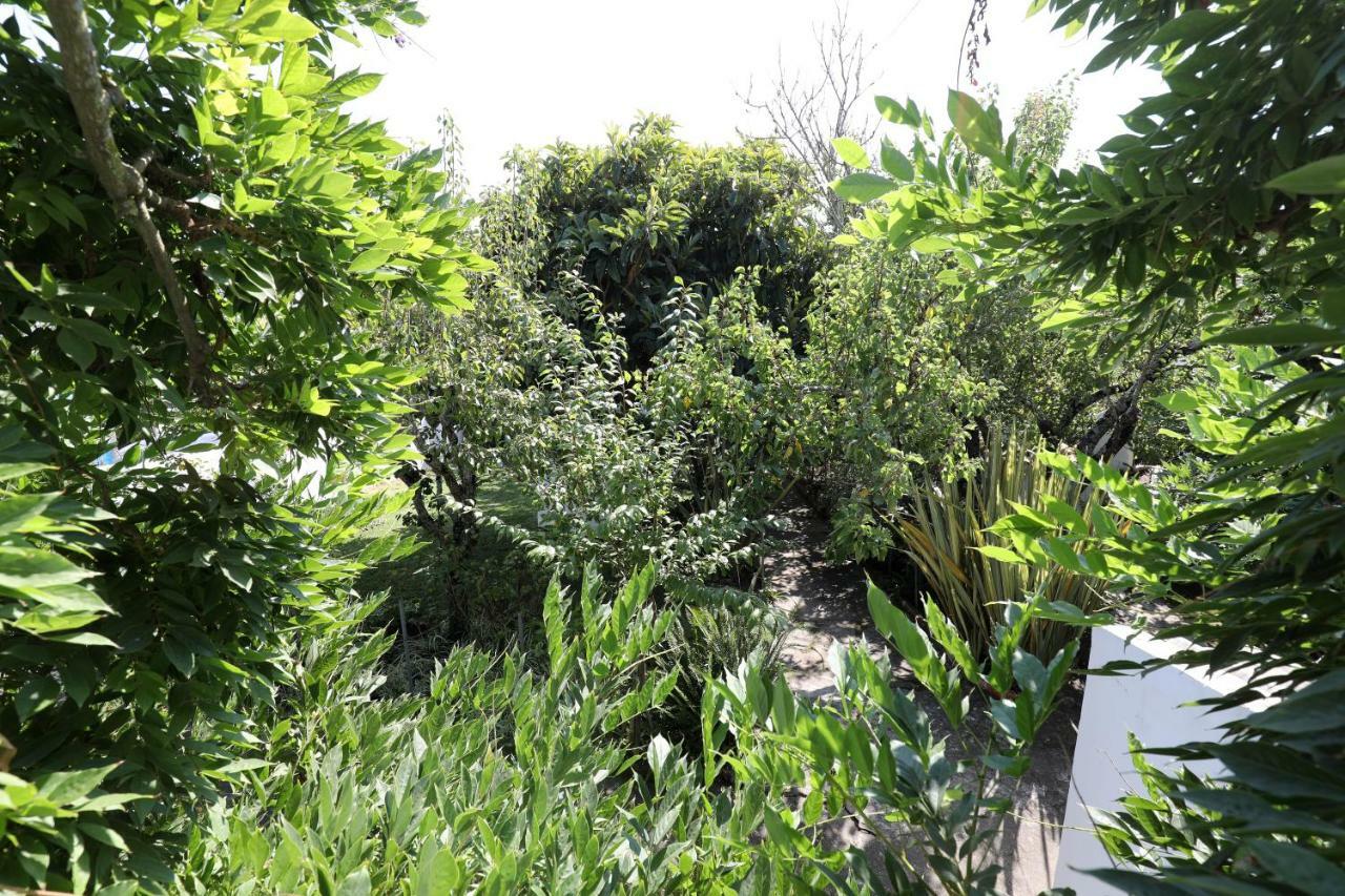Vila Casa Do Sobral Óbidos Zewnętrze zdjęcie